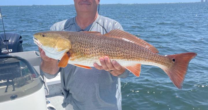 Florida Inshore Fishing