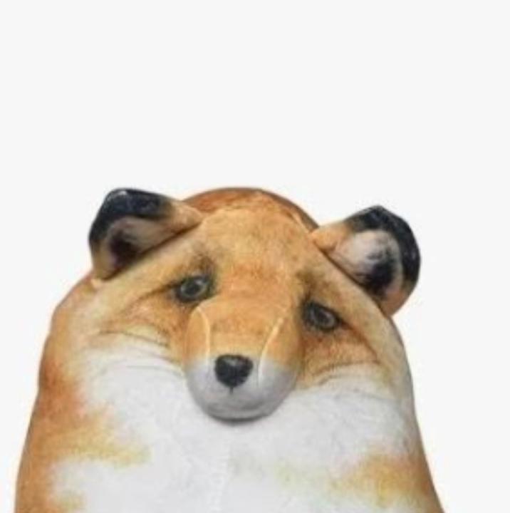 Dan Swift