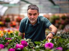 Dragan Sajic