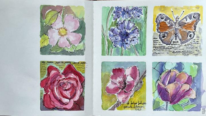 spring illustrations 