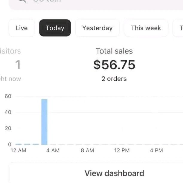 Dropshipping sales I made today