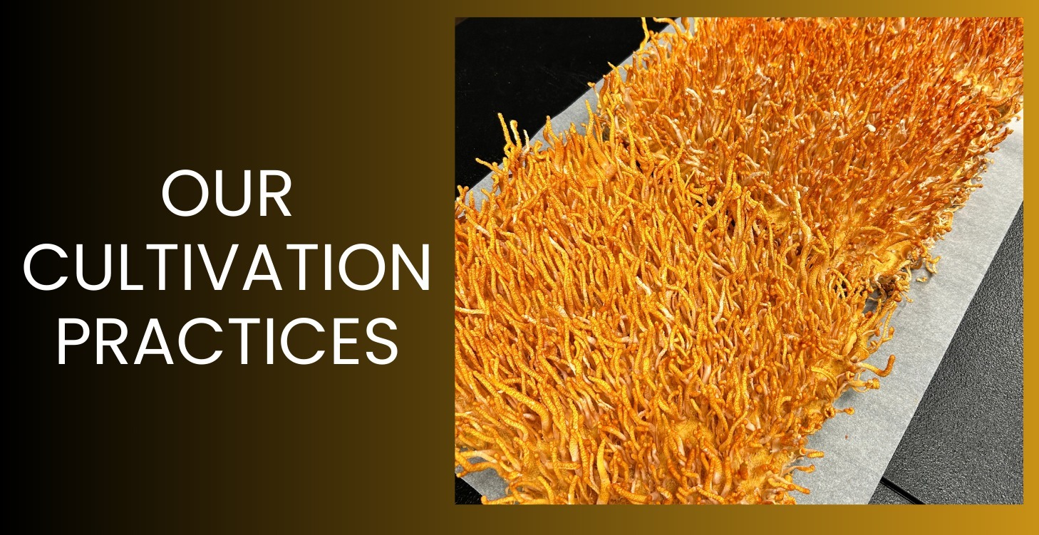 Our Cultivation Practices