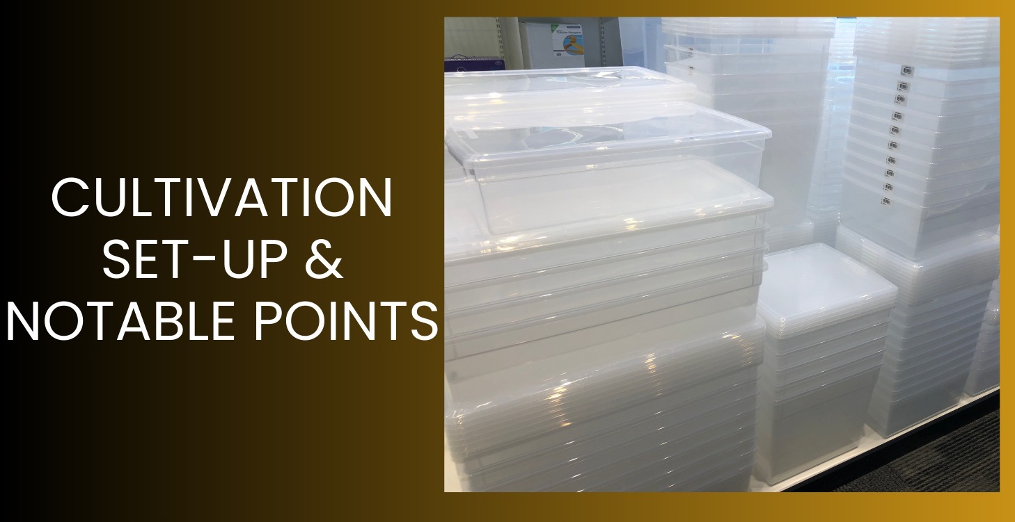 Cultivation Set Up & Notable Points