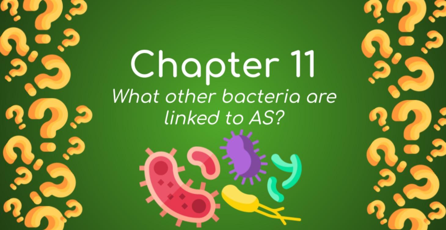 Bacteria and their role in AS