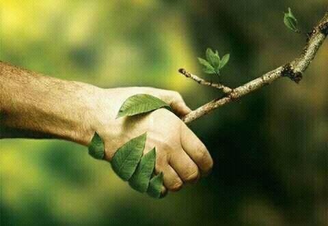 Navasakthi Chandrasekaran