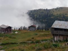 Roshani Tsetskhladze