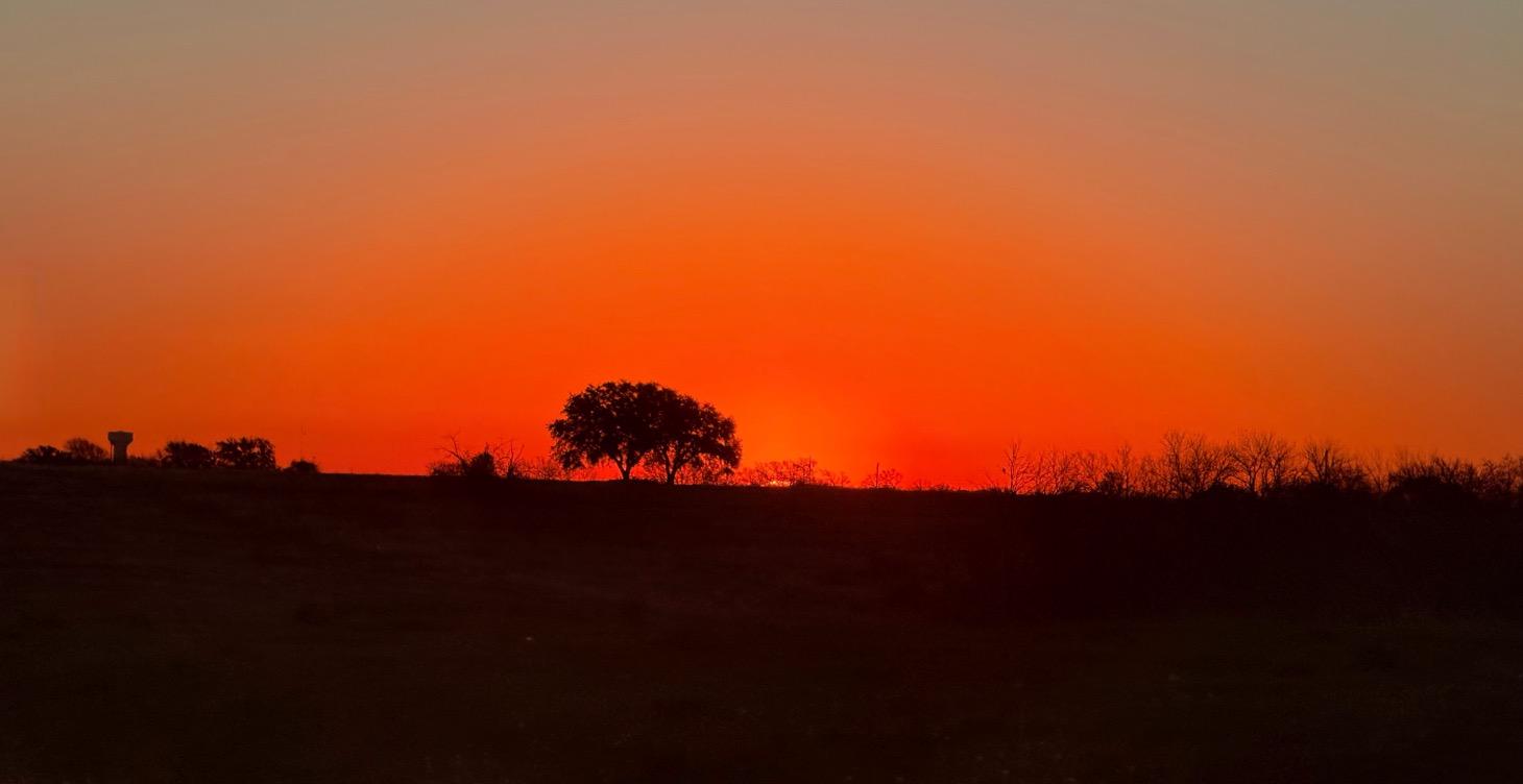 Exposure triangle part 2!