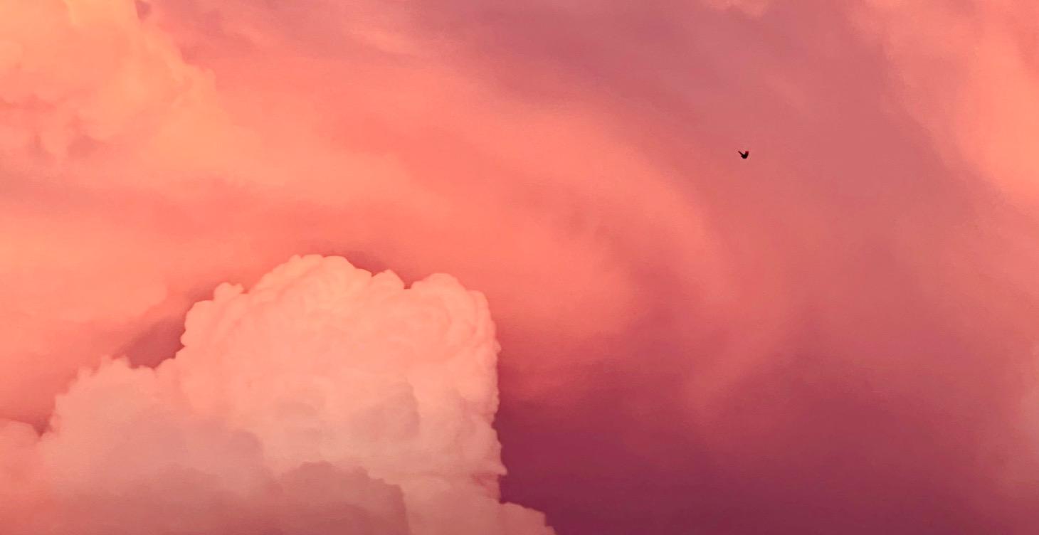 Exposure triangle part 4!