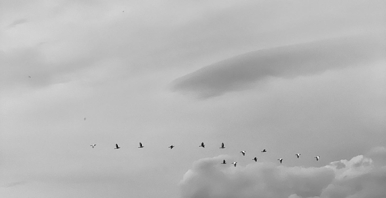 Exposure triangle part 5!