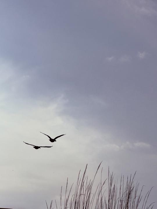 Just a random photo. I’ll get the videos done for this months challenges!