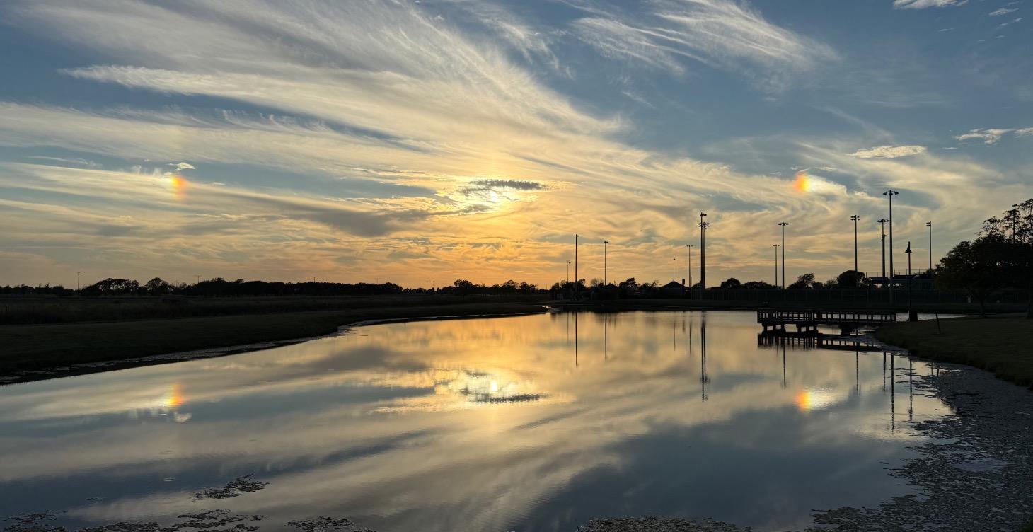 WEEK FOUR! “The mirror and the muse”