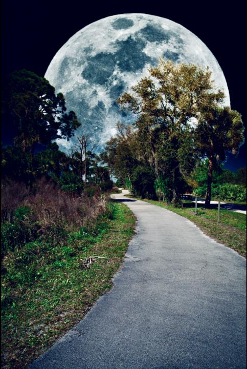 2.Create a photograph that makes something small feel huge or cinematic.