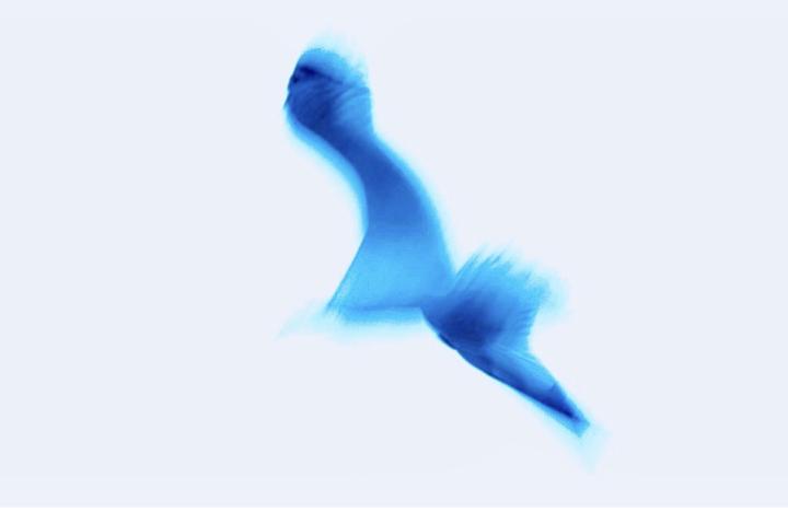 Week #4. Love Letter to a Process.  (What do you love about this process-even when it’s frustrating.)