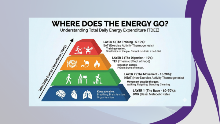 New Basics of Nutrition Course