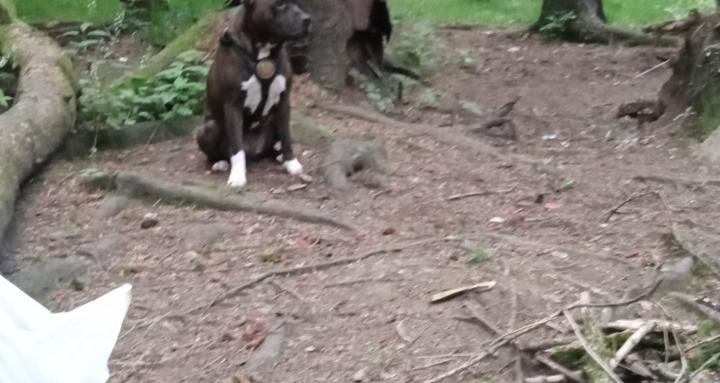 PURPLE 💜 SPACE 💜 MONKEYS