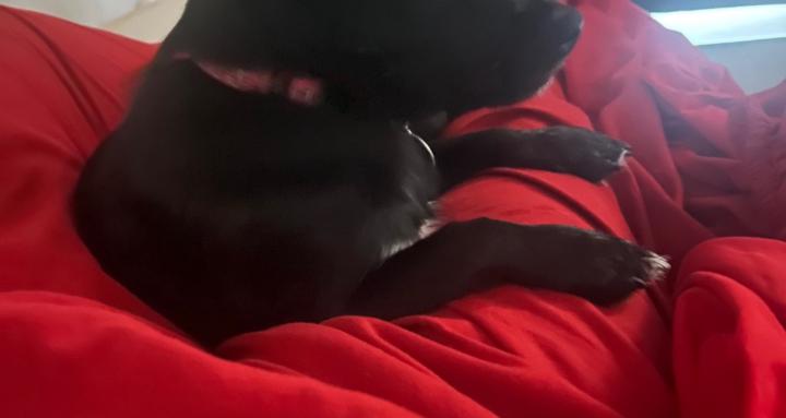 Queenshavakahealingcorner