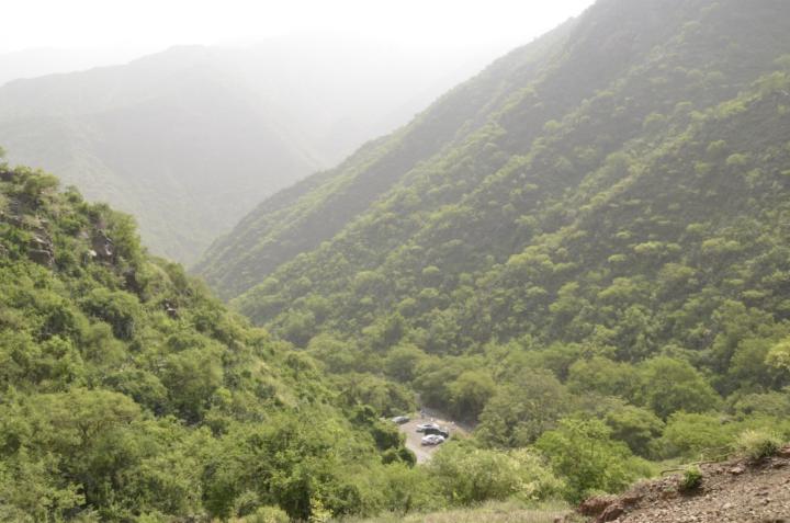 رائد الغامدي