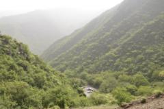 رائد الغامدي