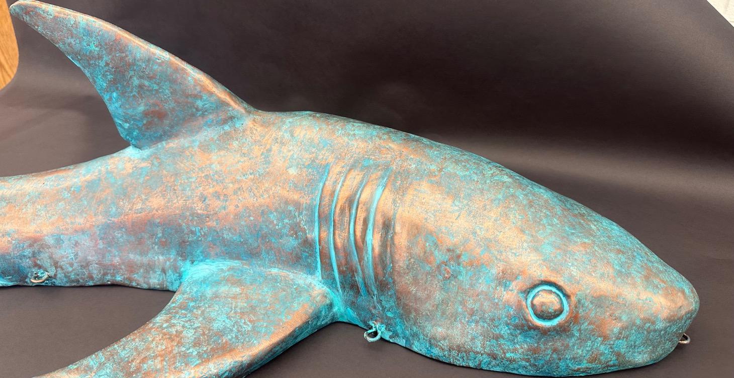 Build a Shark!