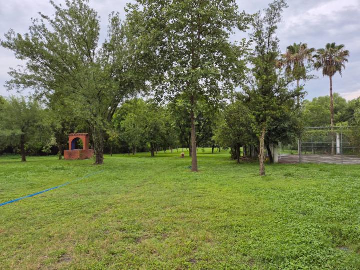 Si quieres crecer, no basta con rodearte de personas motivadas.