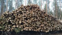 Einojuhani Järvilä