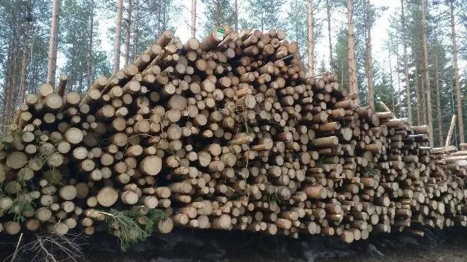 Einojuhani Järvilä