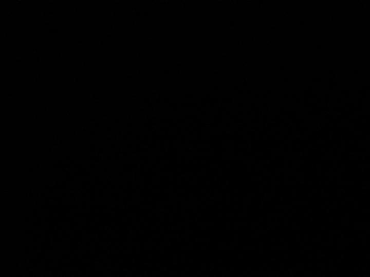 امجد علي محمد