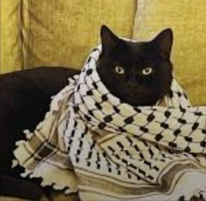 Hawa Omar