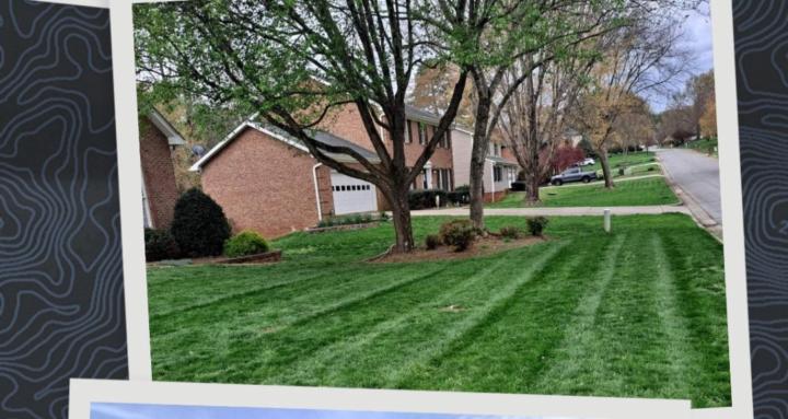 Lawn Care for Dummies