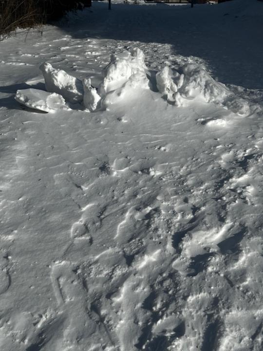 Prranavan Yogeswaran