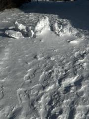 Prranavan Yogeswaran