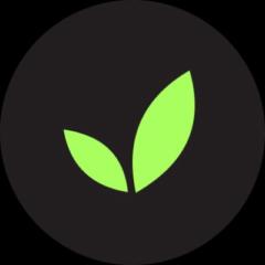 Developios Agency