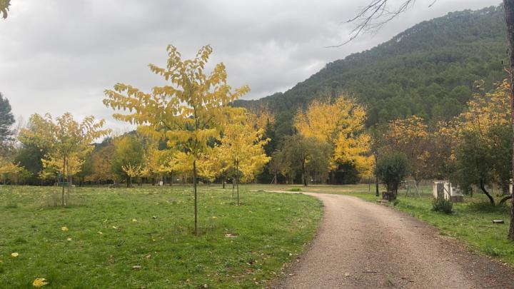 Natalia Morcillo Pérez