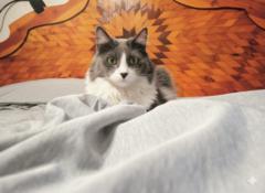 Alejandra López Salazar