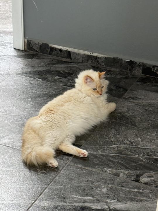 Me gusta pensar que nunca te fuiste y que sigues aquí de otra forma