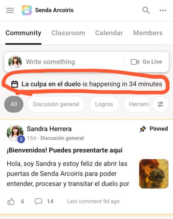 📌COMO ACCEDER AL EN VIVO DE HOY 💫