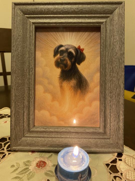 7 meses de tu partida