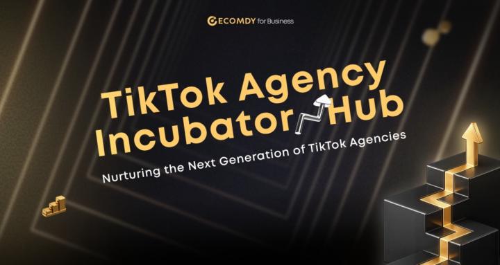 TikTok Agency Incubator Hub