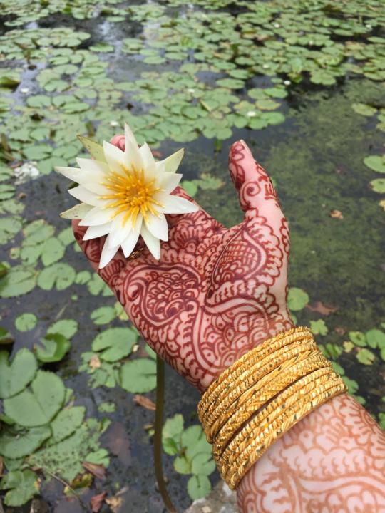 Welcome, Ayurveda Ambassadors!