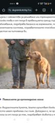 Georgi Animals