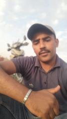 Ayoub Jamali