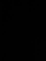 G B