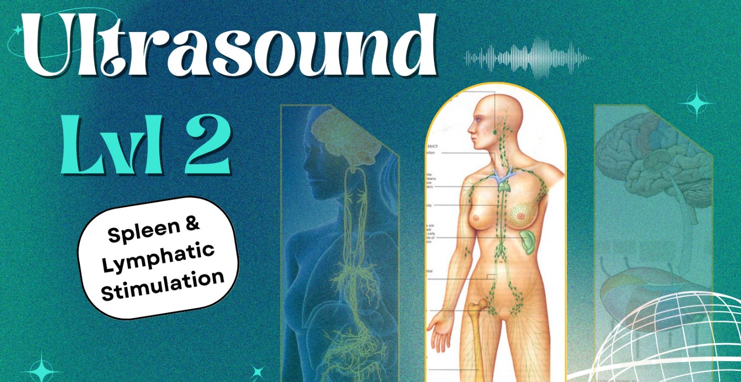🔊 ULTRASOUND | 2 | Intermediate Level
