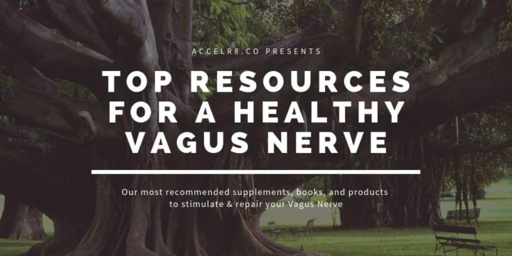 Top Recommended Products for Keeping Your Vagus Nerve Healthy
