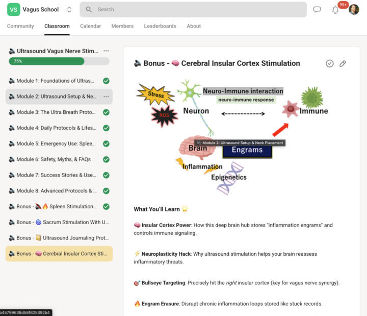 New Bonus Module ! Insular Cerebral Stimulation w/ Ultrasound !