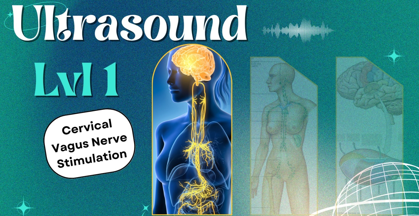 🔊 ULTRASOUND | 1 | Foundations & Principles