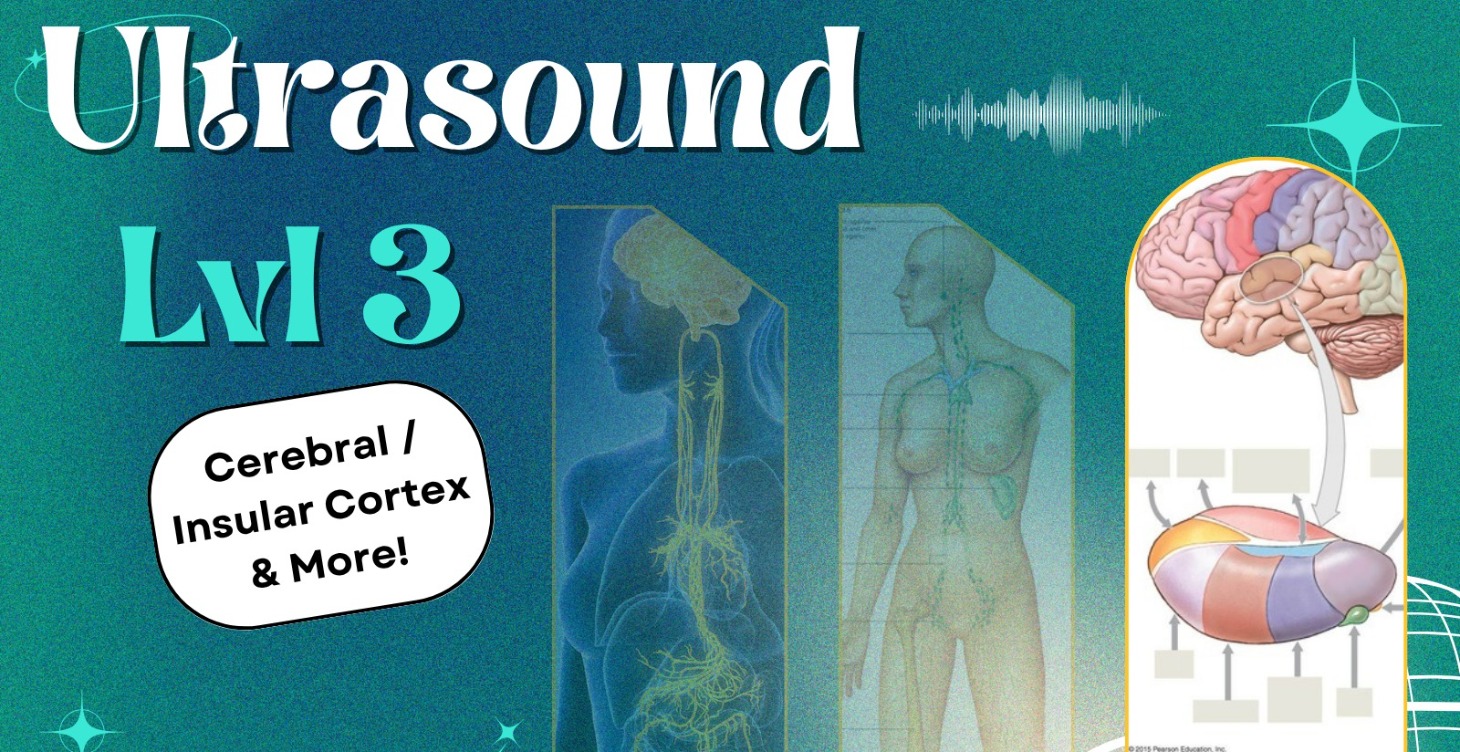 🔊 ULTRASOUND | 3 | Advanced Engrams