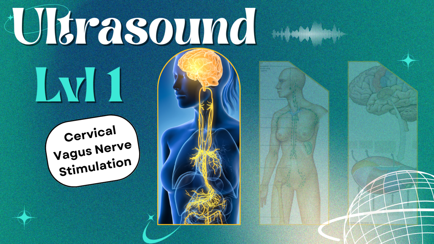 🔊 Module 1: Foundations of Ultrasound VNS - 🔊 ULTRASOUND | 1 | Foundations & Principles &middot; Vagus School
