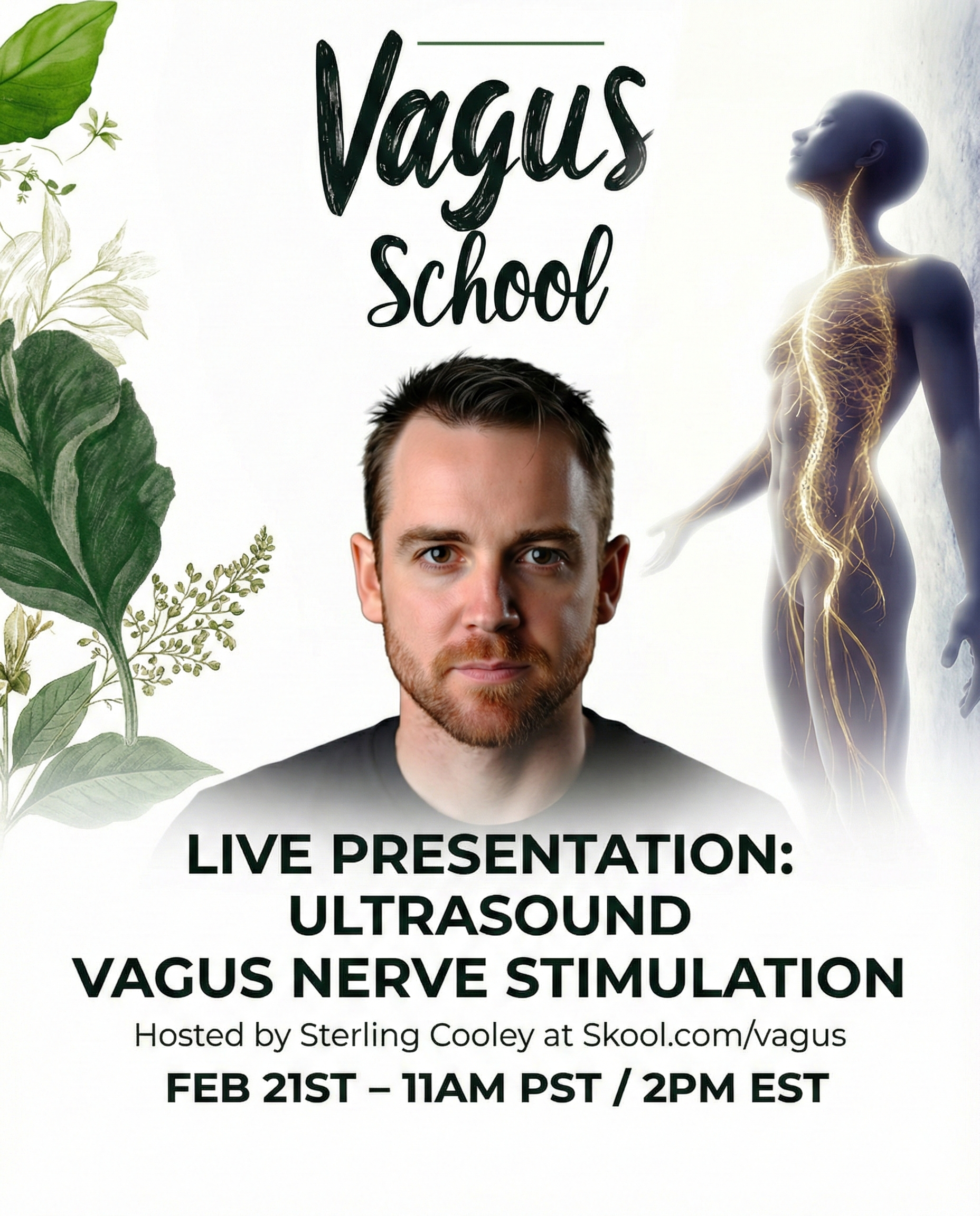Feb-21st Live Webinar ! How To Physically Rewrite Your Internal State Using Ultrasound &middot; Vagus School
