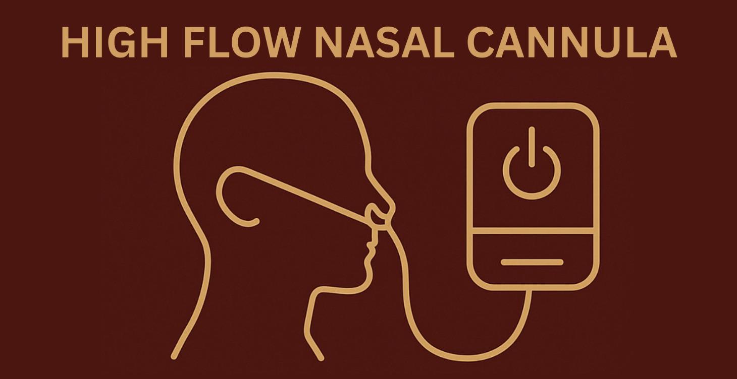 HIGH FLOW NASAL CANNULA